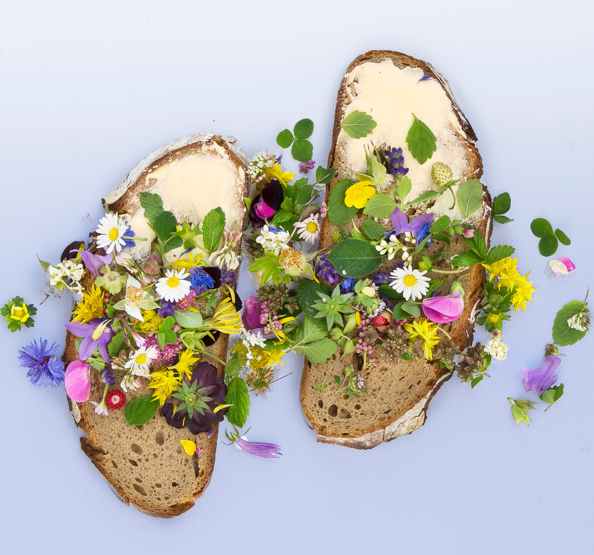 Nourish - Spring Serenade