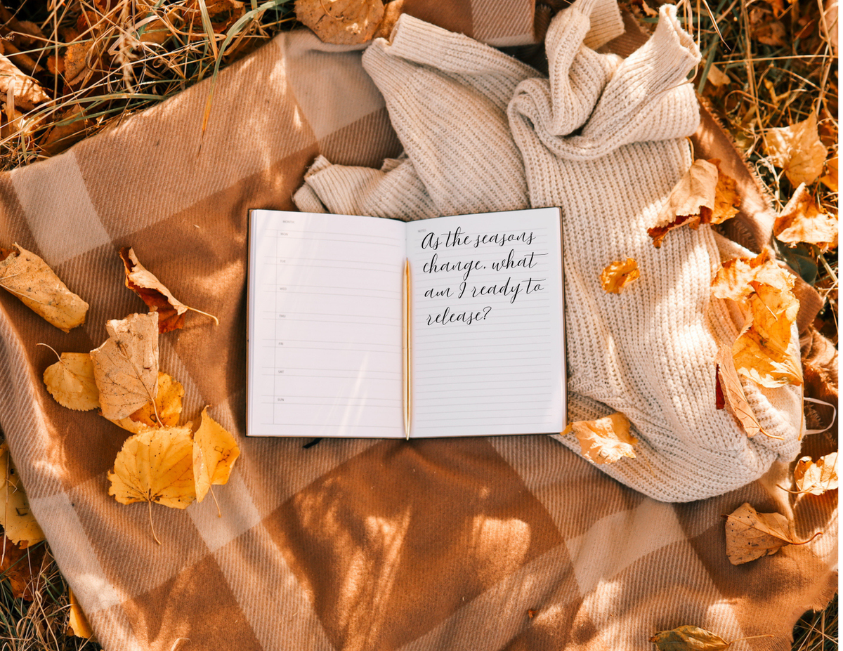 Nourish - Fall Is In the Air