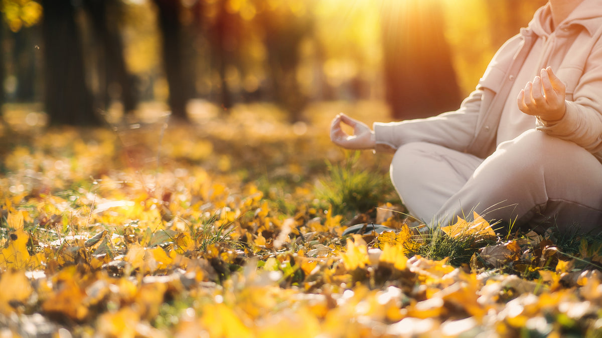 Nourish - Fall Is In the Air